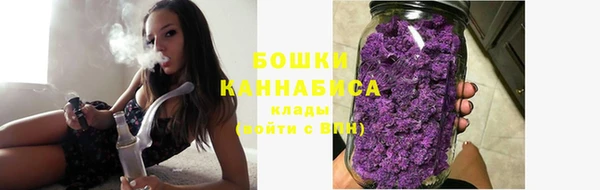 винт Бронницы