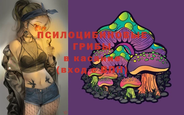 винт Бронницы