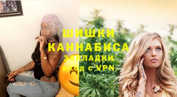 винт Бронницы